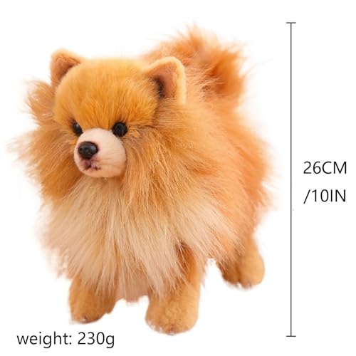 RDCIRP Simulation Pomeranian Plüsch, süßes Kuscheltier, Plüsch-Hundespielzeug, Flauschige Hunde-Plüschpuppe, Geschenke for Jungen und Mädchen for Geburtstag(braun)