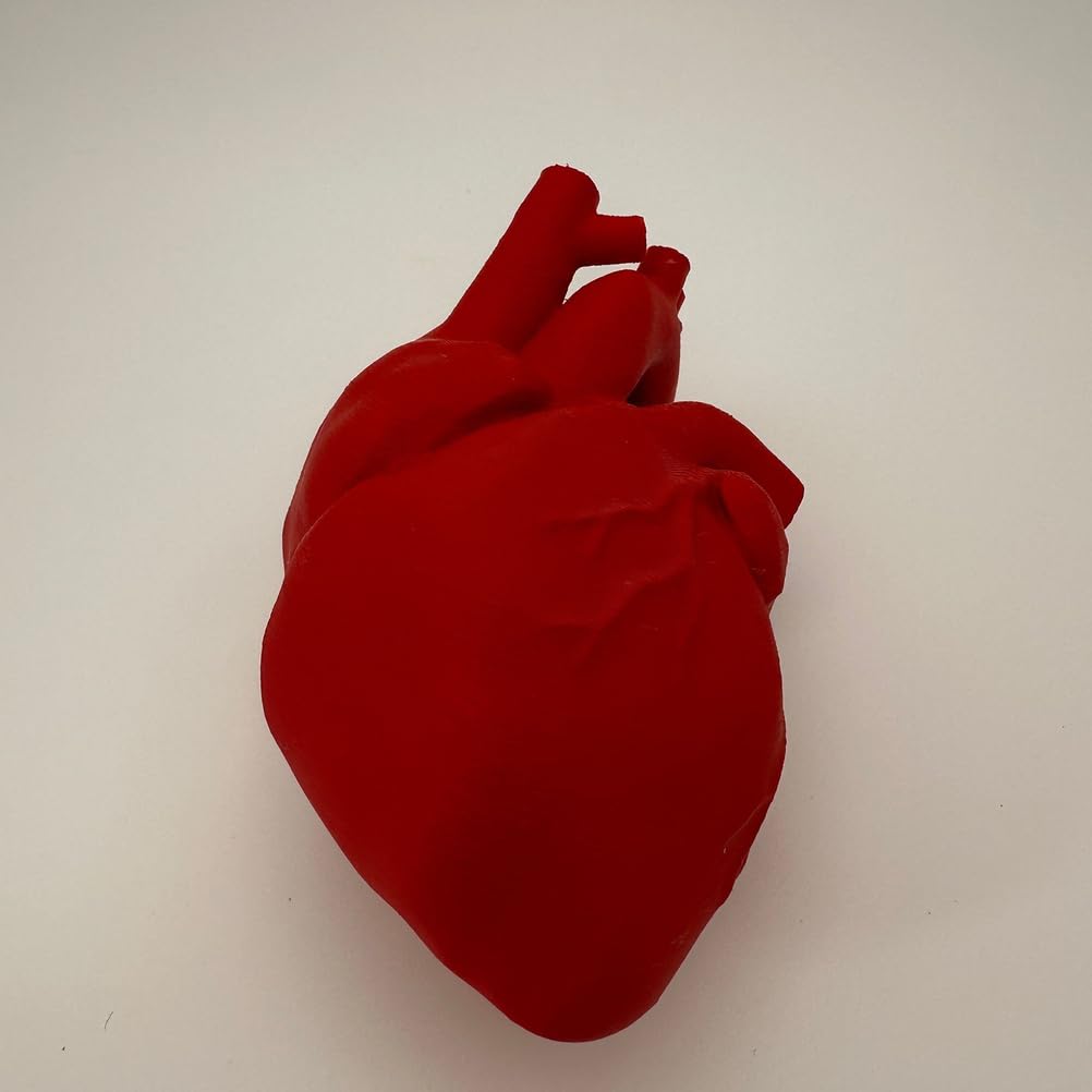 Modello di Cuore Umano Educativo Stampato in 3D - Modello delle Strutture Anatomiche del Cuore - per Insegnamento di Anatomia, Studio Medico e Cardiologia