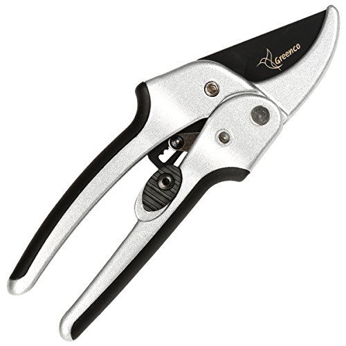 Best Garden Secateurs Reviews UK 2021 Buying Guide