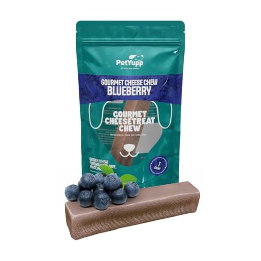 PetYupp 1 Pack Blueberry Yak Cheese Himalayan Dog Chews, Large - Rich Protein & Low Fat Blueberry Yak Chews for Dogs - Gluten-Free & Lactose-Free Treats for Small, Medium & Large Dogs