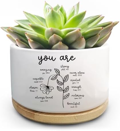Christian Religious Gifts for Women, Succulent Plant Pot, Cactus ...