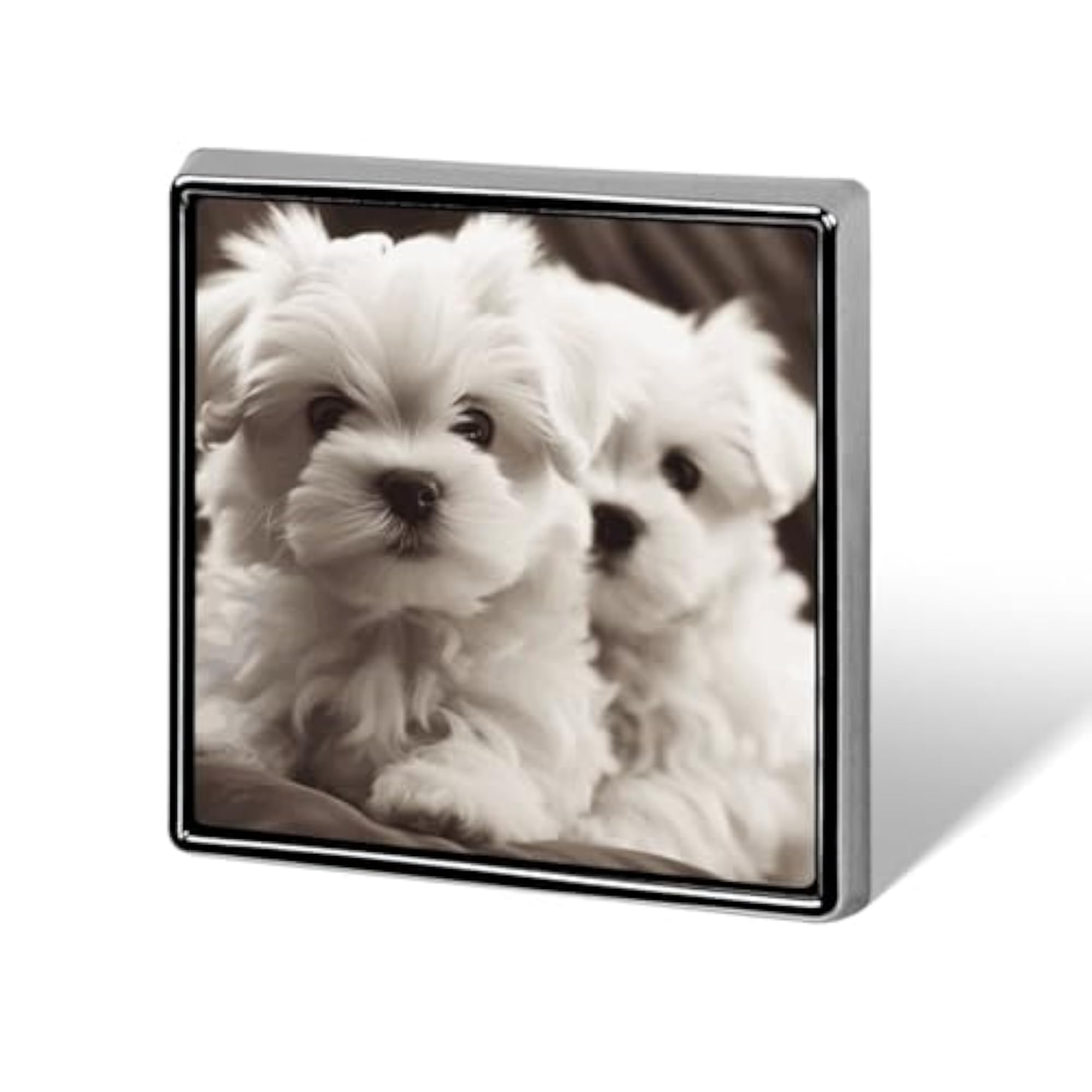 Square Lapel Pins, Cute Maltese Puppy Design