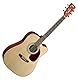 Cort mr500e Elektroakustische Gitarre