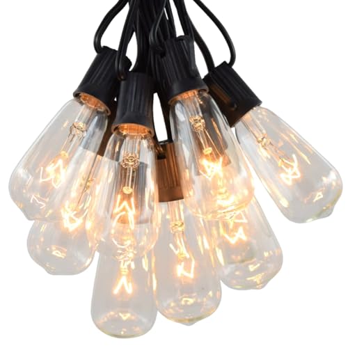 Hometown Evolution, Inc. Vintage Edison Outdoor String Lights (ST40 Clear - Black Wire, 25 ft)
