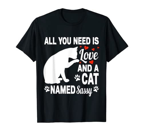 Personalized Cat Name Sassy Cute Kitten Pet Lover T-Shirt