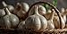 Fresh Elephant Garlic Bulbs by RawJoy Farms - 2 Huge Bulbs