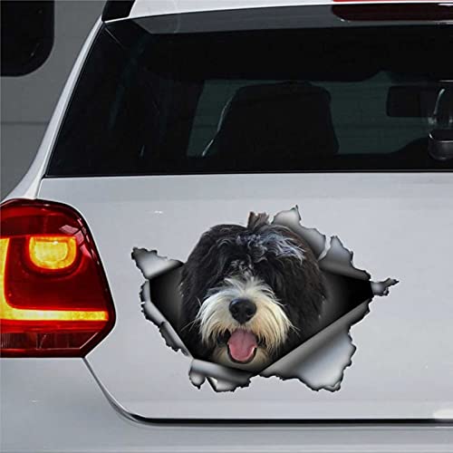 Image of Bernedoodle Car Decal Bernedoodle Car Sticker Car Window Decal 3D Stickers Vinyl Stickers Decal Die Cut Decals Funny Bumper Stickers gift pct1