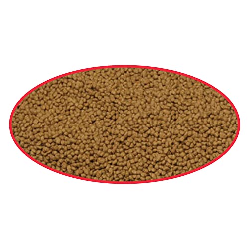 Cobalt Aquatics 28000 Cobalt Betta Pellets- Nutritionally Balanced, Color Enhancing Food For Betta Fish 1.2 Oz- Promotes Consistent Growth- Ideal Fish Food & Shrimp Pellets thumb #3
