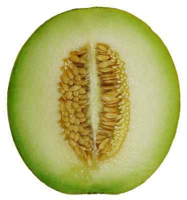 Beautiful Store In Oklahoma Where I Can Buy Rockyford Cantaloupe Artwork Nature Beautiful Store In Oklahoma Where I Can Buy Rockyford Cantaloupe Artwork Nature
