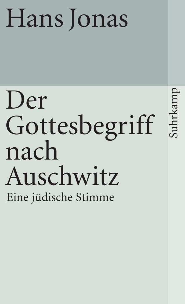 Der Gottesbegriff nach Auschwitz: Eine jüdische Stimme