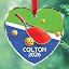 Pickleball Ornament