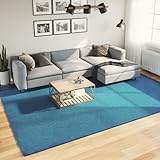 XHNIFBN Teppich Türkis 240x340 cm aus 100% Polyester Kurzflor Flauschig Modernes Design Langlebig für Fußbodenheizung Living Room Schlafzimmer Flur Büro