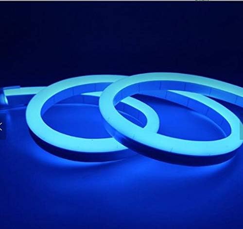 LATAAR Neon LED Strip Light, Waterproof Flexible LED NEON Light for Indoors Outdoors Decortaion. (Blue, 3 Meter)