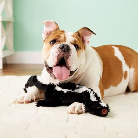 ワンコ様3 Amazon.co.jp: Ethical Products 5500 ミニSkinneeez スカンク