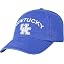 Kentucky Logo Arch