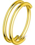 OUFER Gold Nose Rings Hoops, 20G Double Rows Hoop Nose Ring For Women, 316L Surgical Steel Hinged Segment Cartialge Piercing, Inner Diameter 7MM Cartilage Rook Helix Lobe Tragus Earrings