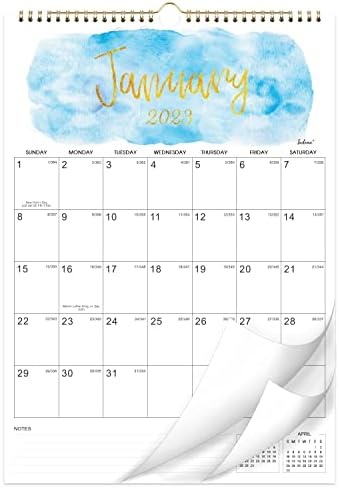 2023 Calendar - 18 Month to View Wall Planner Calendar 2023, from Jan. 2023 to Jun. 2024, Monthly Calendar with Twin-Wire Binding, Home Family Planner, 42.2 x 29.7 cm