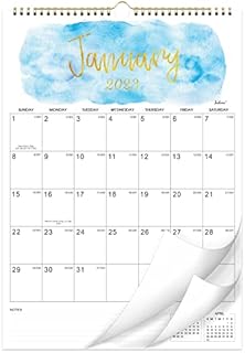 2023 Calendar - 18 Month to View Wall Planner Calendar 2023, from Jan. 2023 to Jun. 2024, Monthly Calendar with Twin-Wire Binding, Home Family Planner, 42.2 x 29.7 cm