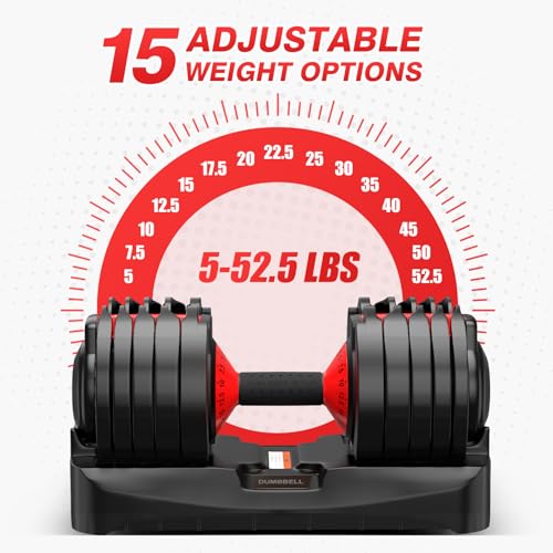 Image of Adjustable Dumbbells Set of 2 for Home Gym Fitness Free Weights Set