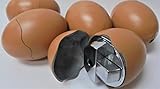 5 Egg Eclipse Novelty Lighters, Realistic Design, Refillable Butane Lighter, Child Resistant 1635-5