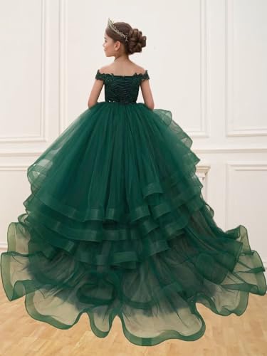 Off Shoulder Flower Girl Dress Sparkly Lace Appliques Puffy Tulle Pageant Dress for Girls Toddler Ball Gowns2