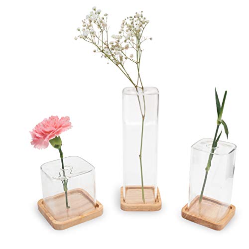 LUUK LIFESTYLE Glasvasen Cube, Deko, kleine Vase, Vasen-Set, minimalistisch, kleine Vase, quadratisch, eckig, rund, transparent, Vintage Stil, Geschenk zur Einweihungsparty,...
