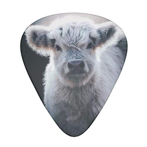 Ensemble de 12 médiators de guitare Grey Cow pour guitare acoustique, guitare électrique, contrebasse, ukulélé - Les Beatles, Paul McCartney, John Lennon, RIngo Starr, George Harrison Ensemble de 12 médiators de guitare Grey Cow pour guitare acoustique, guitare électrique, contrebasse, ukulélé