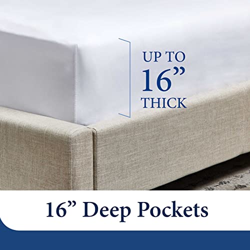 Cosy House Collection Everyday 1500 Series Bed Sheets - Master Bedroom Essentials - Luxury Hotel Ultra Soft Bedding - Stain & Wrinkle Resistant - Easy & Comfy Fit - 4 Piece (Cal King, Brink Pink) #TOP3