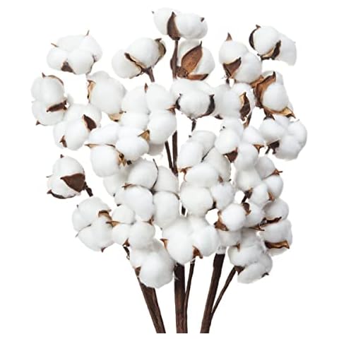 Ksnnrsng Cotton Stems Bulk Artificial Cotton Branches Farmhouse Decor Floral Display Filler Flower Bouquet Home Office Decorative Flower (3Pcs) Cover