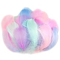 AOOTE Bunte Federn,100 Stück Bastelfedern,6~12cm,Weich Federn,Deko Federn,Flaumfedern,Feder Handwerk für DIY Ohrring,Kopfschmucksfedern,Traumfänger,Hochzeit,Ostern,Weihnachten