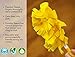 Xanitize Fleece Refills for Swiffer Hand Duster - Reusable, Dry Duster - 5-Pack Rainbow (Jewel)
