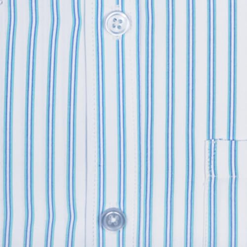 Image of ACCOX Premium Breathable Cotton Half Sleeves Striped Checkered Blue White Formal Regular Fit Shirt for Men (S GCR05)