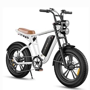 Fafrees E-bike 20 inch mountainbike stadsfiets tot 75/150 km met 20 x 4,0 inch banden, draagvermogen 120 kg, ENGWE M20