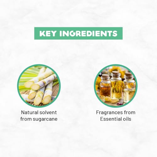 Image of Born Good Plant Based Air freshener Spray for Home And Office, Indian Summer Fragrance, Biodegradable and Non-Toxic - 500 ml