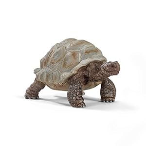 Schleich Wild Life Realistic Exotic Galapagos Giant Tortoise Figurine – Wild Animal Figurine Giant Tortoise Toy for Wildlife Play and Imagination for Toddlers Boys and Girls, Gift for Kids Age 3+