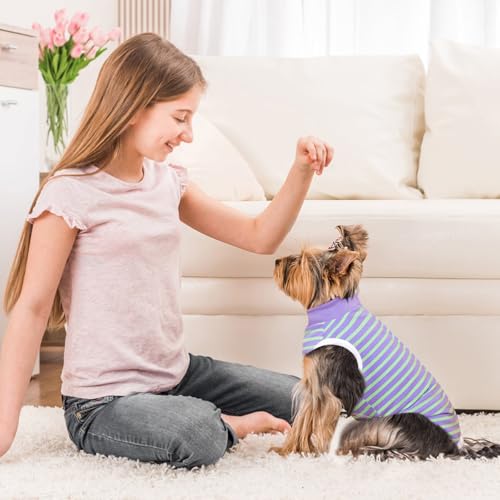 TQFlow Hundbody Nach Op, Body Hund Kastration Wundschutzanzüge Hündin Rüde, Wundschutz Professioneller Pet Recovery Suit, Operationsbody Hund Body Atmungsaktiv Hunde Einteiler (Grün und Lila,S)