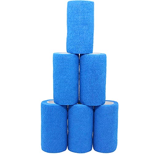 KEQCQE Lk e͕єSуe[sO oe[W ybg  LhsDz ֐߃T|[g Lk ʋC 6