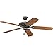 Progress Lighting Ceiling Fan model number P2502-20