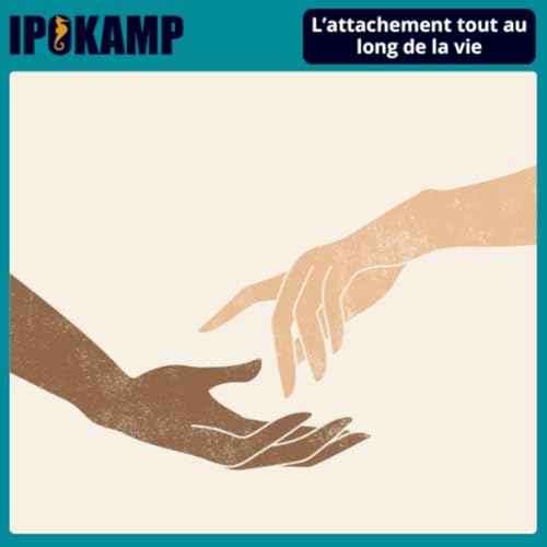 #13 L'attachement tout au long de la vie