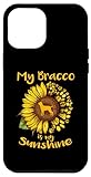 Bracco Italiano Dog Paw Sunflower Puppy Lover
