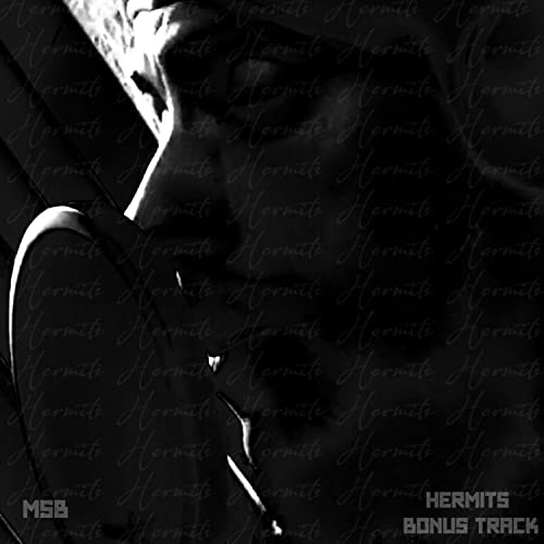 Spiele Hermits (Bonus Track) von msb auf Amazon Music ab
