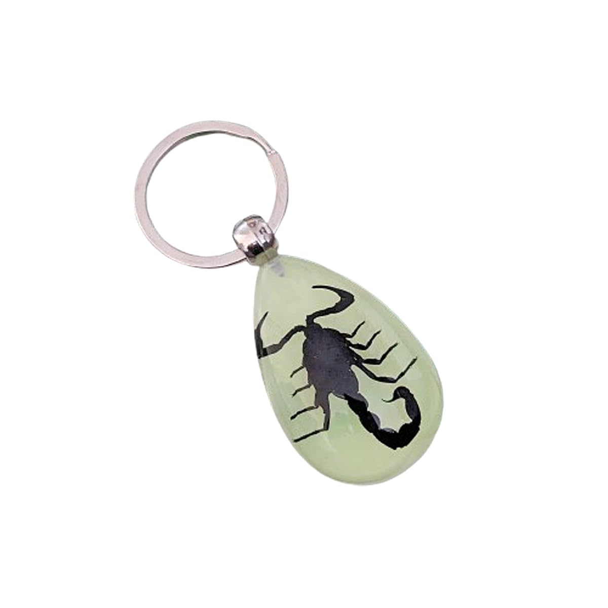 Luck Trader Real Black Scorpion Glow in the Dark Keyring Keychain - Heterometrus spinifer
