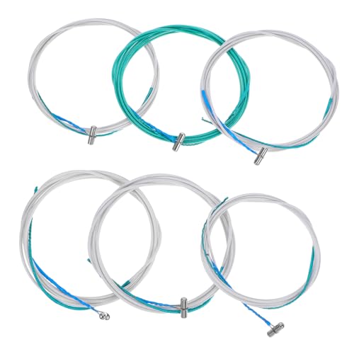 Yardwe 6    y C p[c   ANZT[ C p