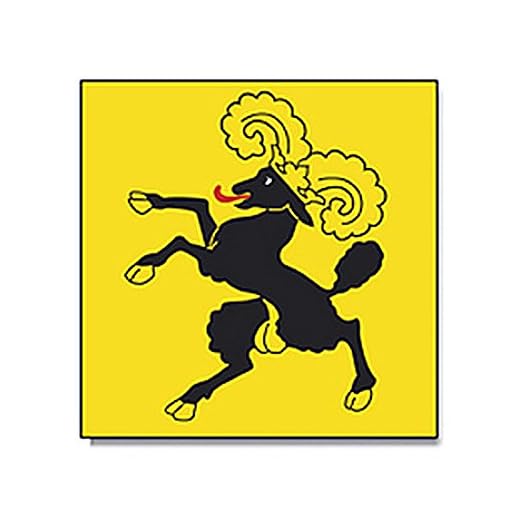 SCHAFFHAUSEN flagga med schweizisk kanton Schweiz landsflagga engelsk län flagga/hissflagga 90 x 90 EYELET CURTAINS, mycket bra kvalitet