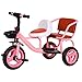 Tricicli Triciclo può Portare Le Persone Doppia Carrozzina Seggiolino Bici A Due Posti Comodi Bambino Molle Giocano per Bambini 1-6 Anni,B