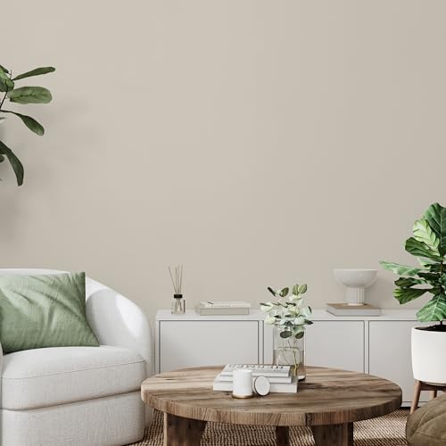 Image of Rust-Oleum Color Spark Interior Paint and Primer in One, Matte, Tribeca, 1 Gallon