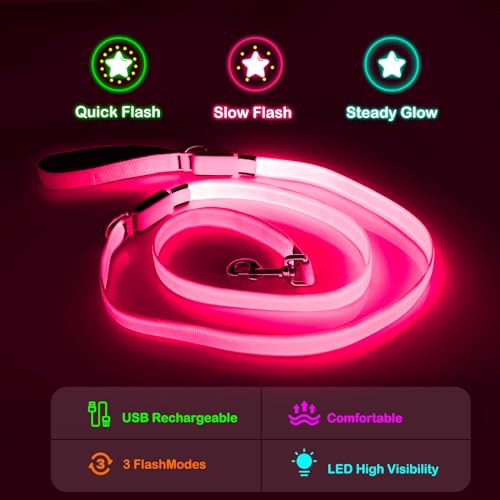 Dlitk Light Up Dog Leash, 6 Ft LED Leashes Rechargeable, Nylon Reflective Lead with Padded Handle for Night Walking, Safety Glow Lights for Large Medium Small Dogs(Pink, 6 Ft) by Dlitk - Image 2