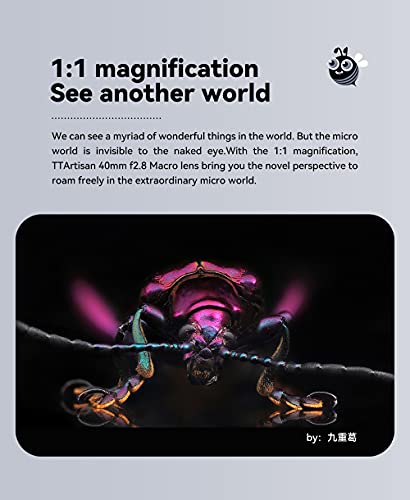 TTArtisan 40 mm F2.8 Macro Lens APS-C 1:1 vergroting macro lens handmatige focus Prime vaste focus lens voor Fuji X… - Afbeelding 7
