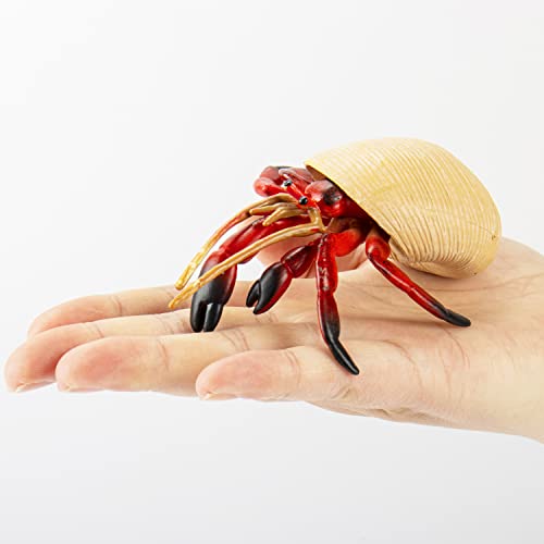 Hiawbon 4 Pcs Hermit Crab Figurines Realistic Sea Creature Model Plastic Beach Animals Action Figure For Birthday Party Collection Gifts #TOP3