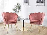 WQSLHX Modern Accent Chairs Set of 2 for Living Room Bedroom, Velvet Kitchen Dining Chairs with Gold...